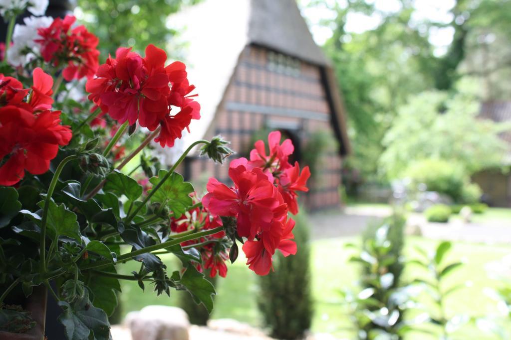 Villa Ostehof Weertzen Esterno foto